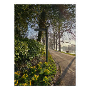 Daffodils poster