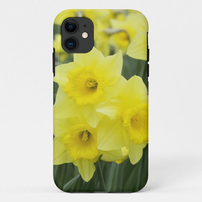 Daffodils RF) Case-Mate iPhone Case (Back)
