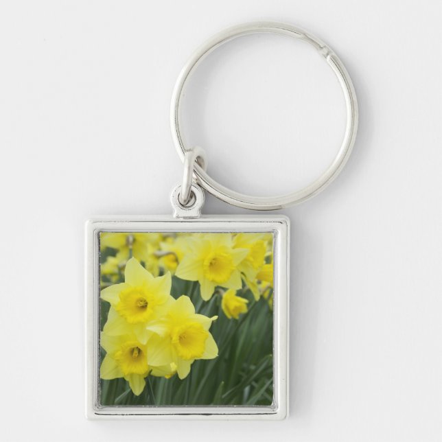 Daffodils RF) Keychain (Front)