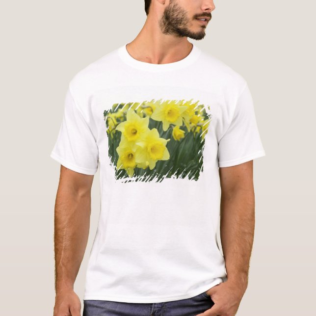 Daffodils RF) T-Shirt (Front)