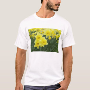 Daffodils RF) T-Shirt