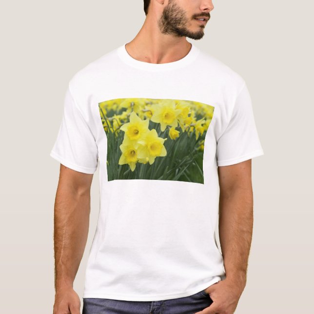 Daffodils RF) T-Shirt (Front)