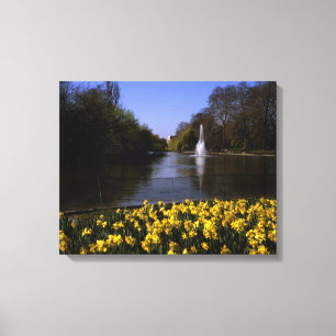 Daffodils St James's Park London Canvas Print