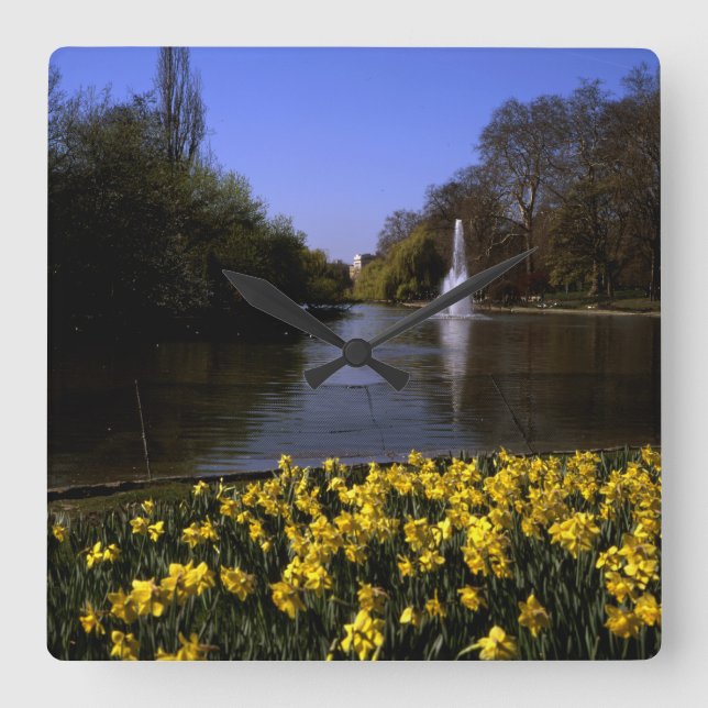 Daffodils St James's  Park London Square Wall Clock (Front)