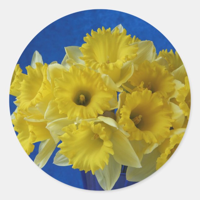 daffodils stickers small (Front)