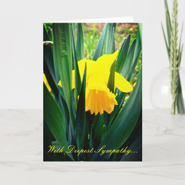 Daffodils Sympathy Card (Front)