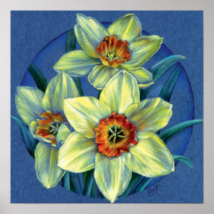 ‘Daffodils – the joys of spring’ fine art poster