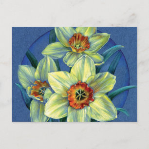 ‘Daffodils – the joys of spring’ postcard