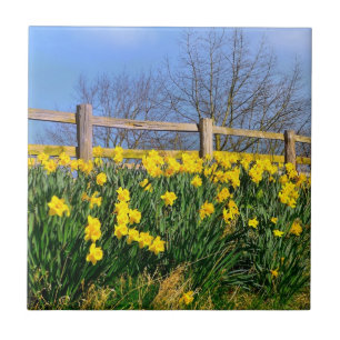 Daffodils Tile