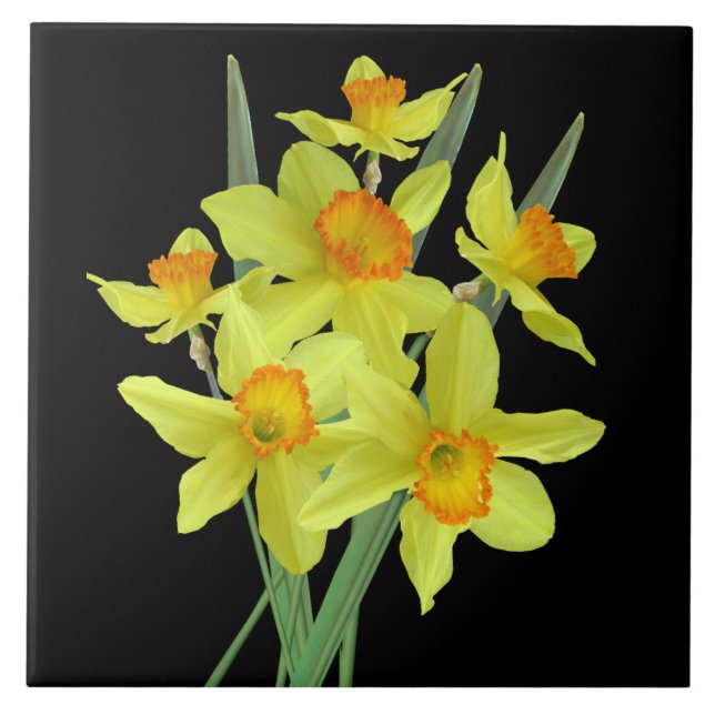 Daffodils Tile (Front)