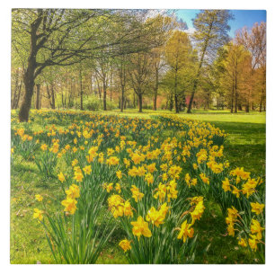 Daffodils Tile