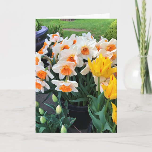 Daffodils & Tulips, Oregon Card (Front)