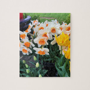 Daffodils & Tulips, Oregon Jigsaw Puzzle