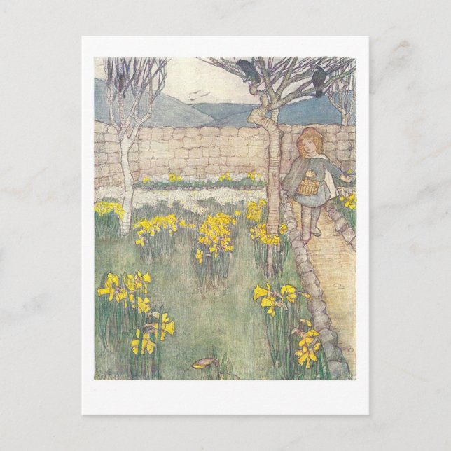 Daffodils Vintage Illustration Carte postale (Devant)