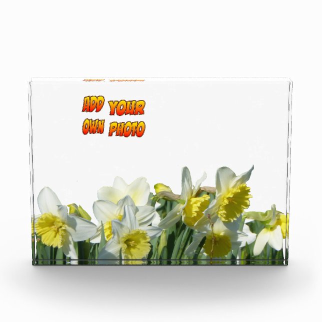 Daffodils White and Yellow Cust. Photo Block (Front)
