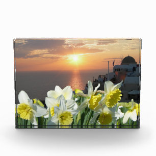 Daffodils White and Yellow Photo Block