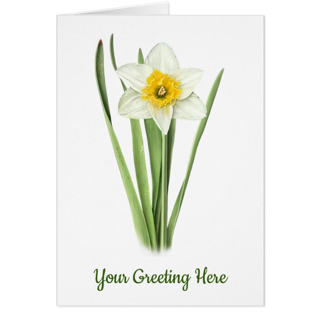 Daffodique (Devant)