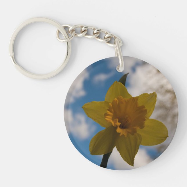 Daffodique au printemps (Devant)