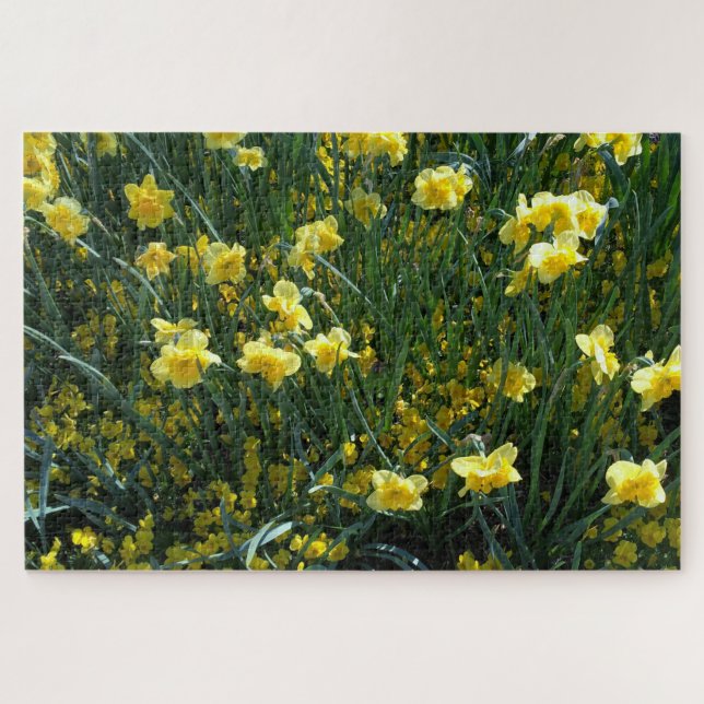 Daffodique délice puzzle (Horizontal)