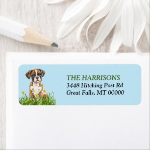 Daffodique Jardin Boxer Chien Chien Chien Chien Ch
