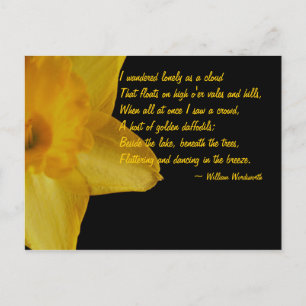 Daffodique jaune ; Carte postale William Wordswort