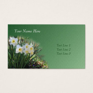 Daffodiques blanches