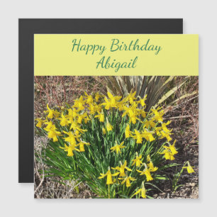Daffodiques jaunes de printemps Carte magnétique d