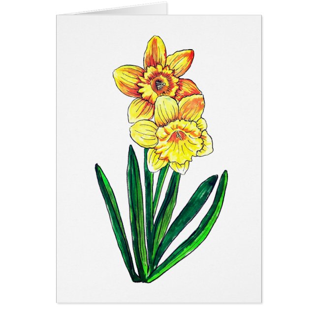 Daffodiques vides (Devant)