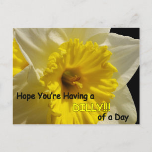 daffy dilly of a day postcard