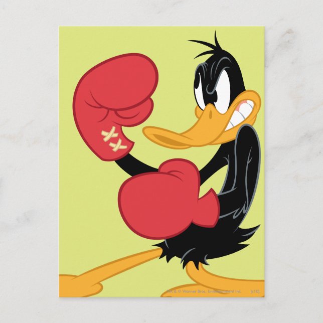 DAFFY DUCK™ the Boxer Postcard (Front)