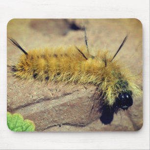 Dagger Moth Caterpillar Nature Mouse Pad