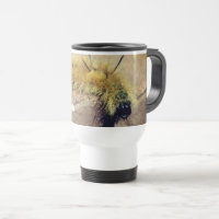 Dagger Moth Caterpillar Nature Personalized 