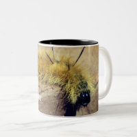 Dagger Moth Caterpillar Nature Personalized