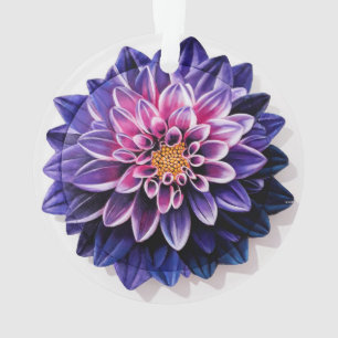 Dahlia