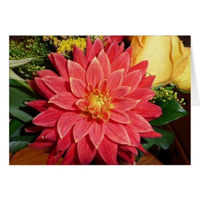 Dahlia (Front Horizontal)