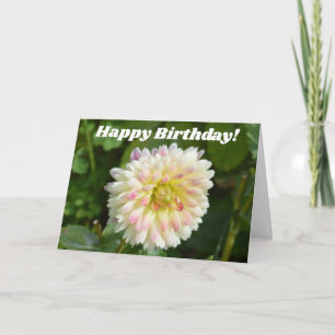 Dahlia blanche et rose sur une carte d'anniversair