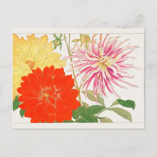 Dahlia by Tanigami Konan Postcard (Front)