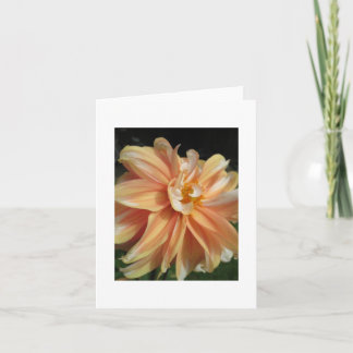 Dahlia Card