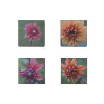 Dahlia Collection Stone Magnets