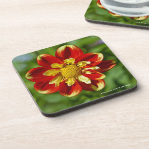 Dahlia Cork Coaster