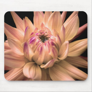 Dahlia Corona 2 Mouse Pad