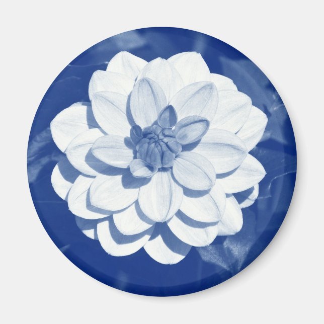 Dahlia - Digital Cyanotype Magnet (Front)