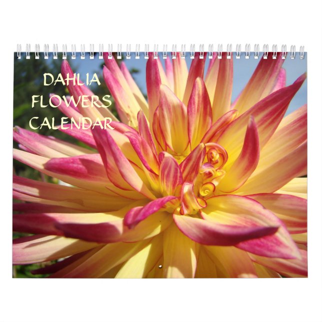 Dahlia Fleurs Calendrier Office Calendrier Jours f (Protection)