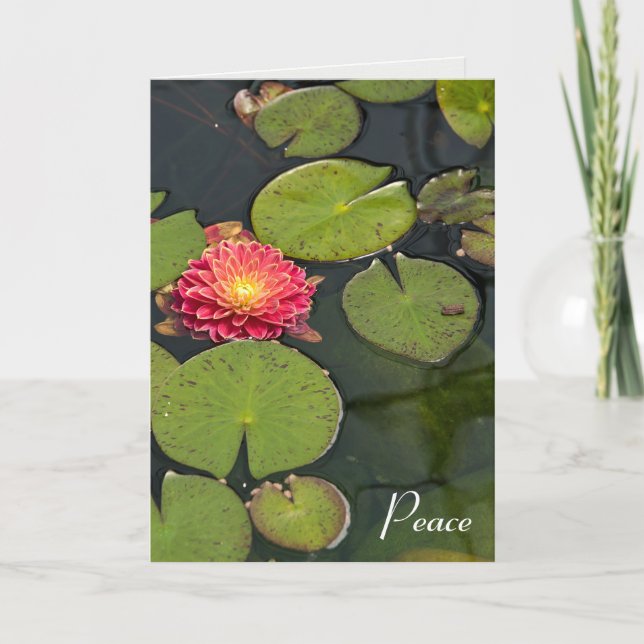 Dahlia Floating With Lily Pads Sympathy Thank You Card (Front)