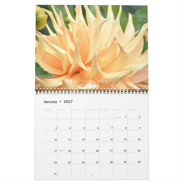 Dahlia Floral Fantasy 2014 Wall Calender Calendar (Jan 2027)