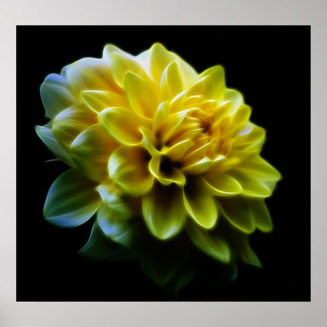 Dahlia flower and meaning poster (Front)