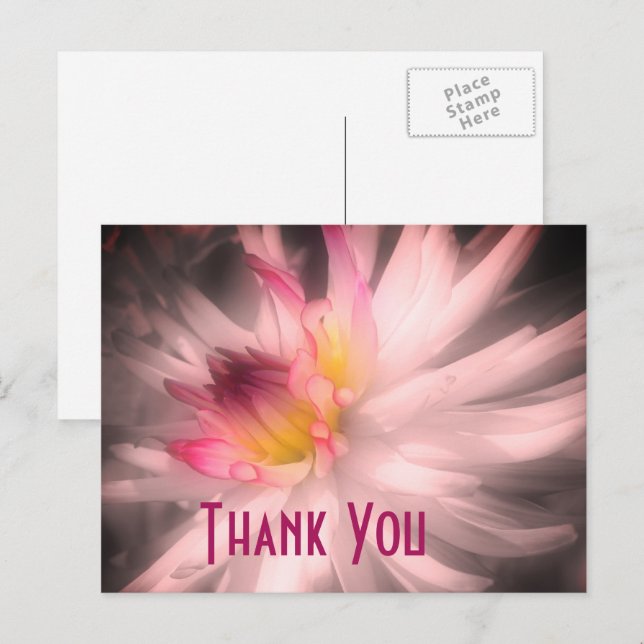 Dahlia Flower Black And White Thank You Postcard (Front/Back)