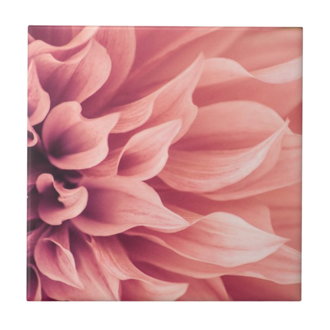 Dahlia Flower Blossom Tile (Front)