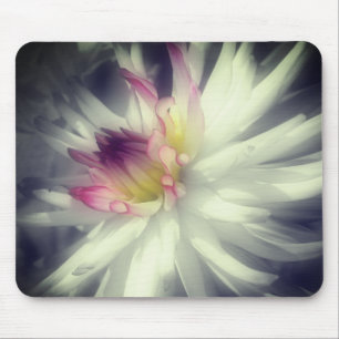 Dahlia Flower Close Up Black And White  Mouse Pad