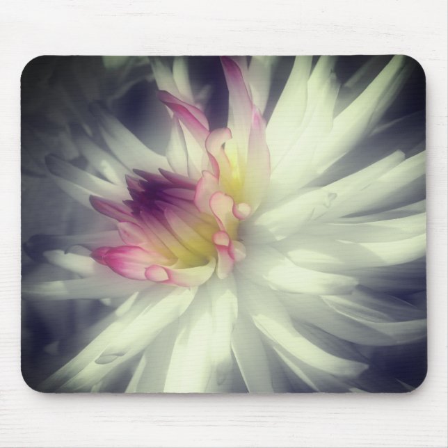 Dahlia Flower Close Up Black And White  Mouse Pad (Front)